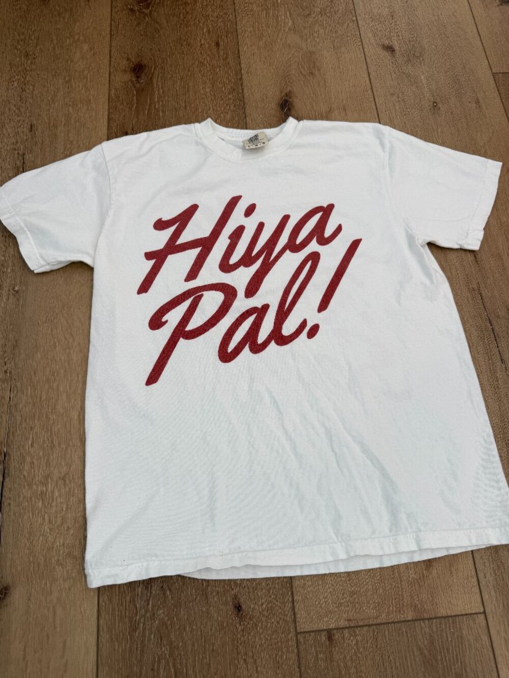Comfort Colors Disney Hiya Pal Tee – Size L